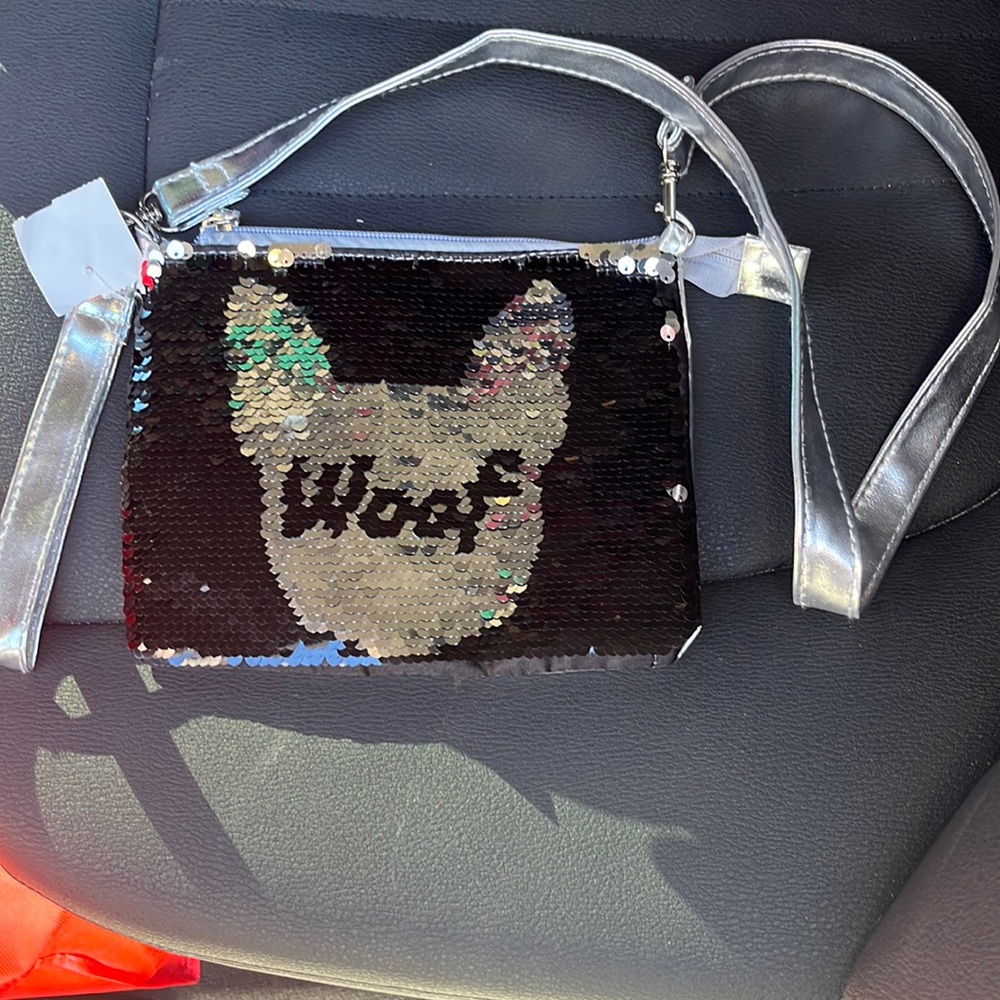 Sequins Purse